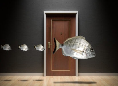 FISCHE