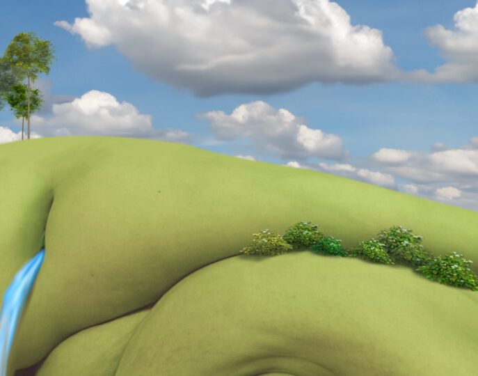 FLEISCHIGE LANDSCHAFT